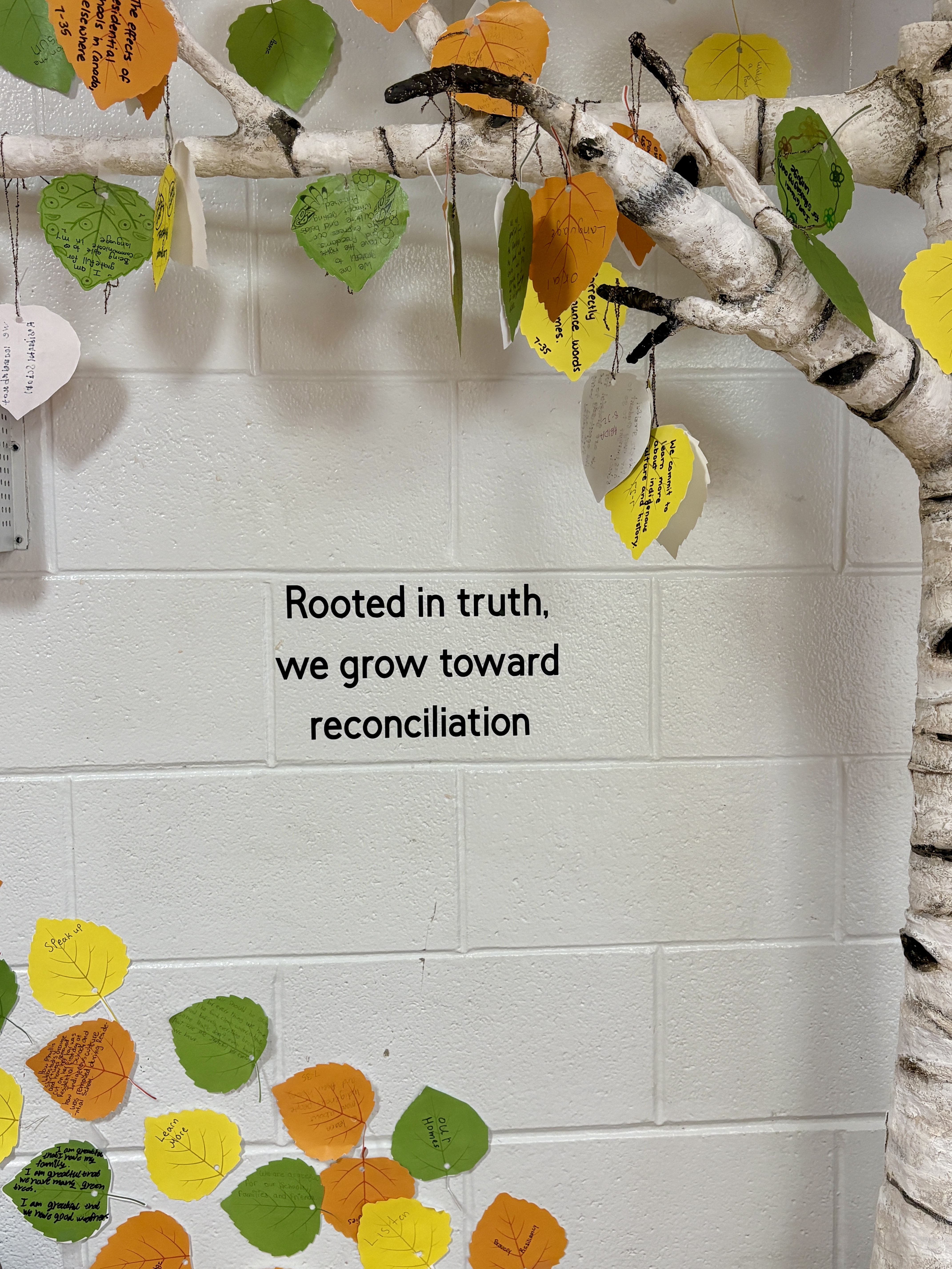 Reconciliation Grows Through Us