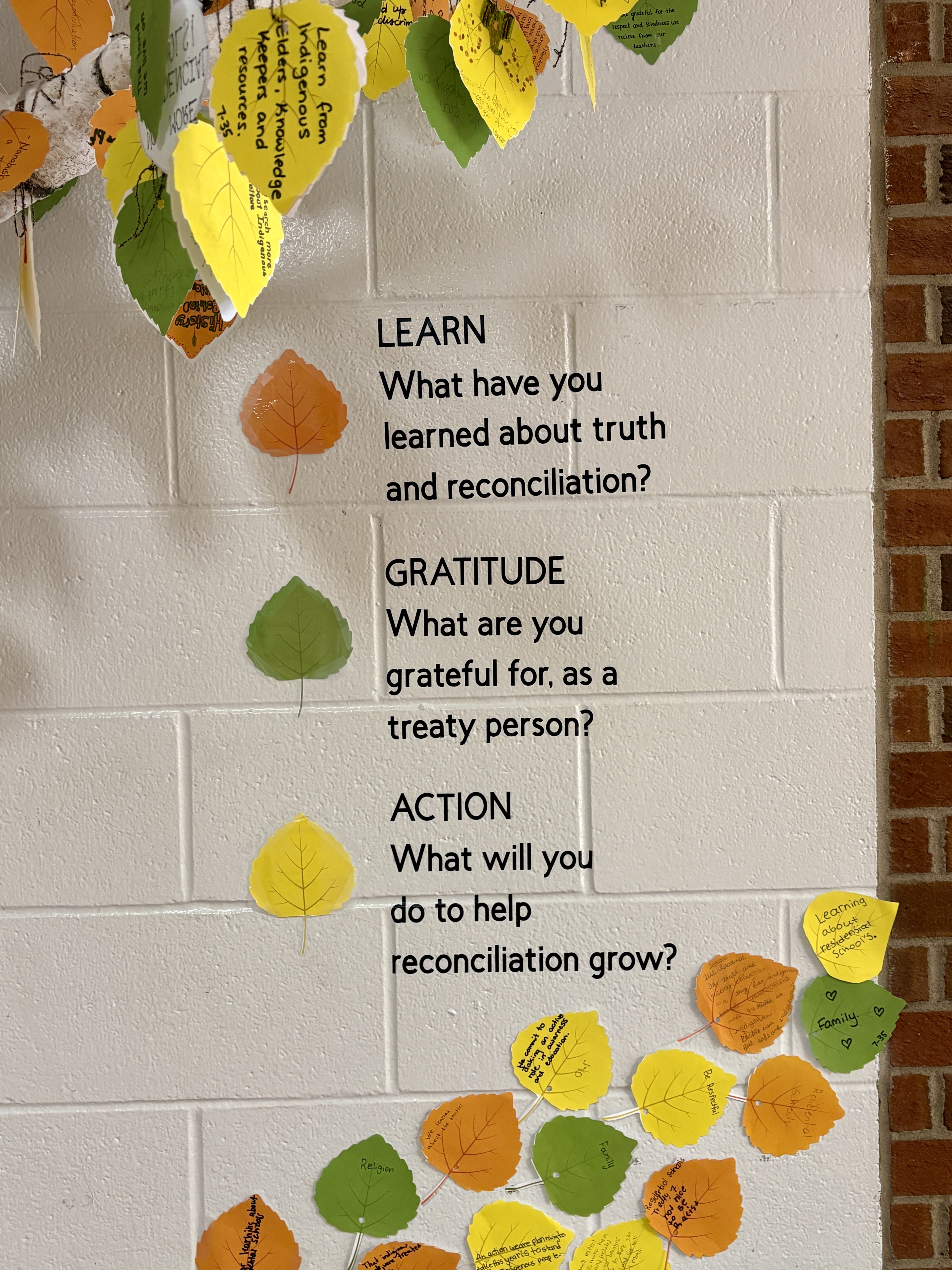 Reconciliation Grows Through Us